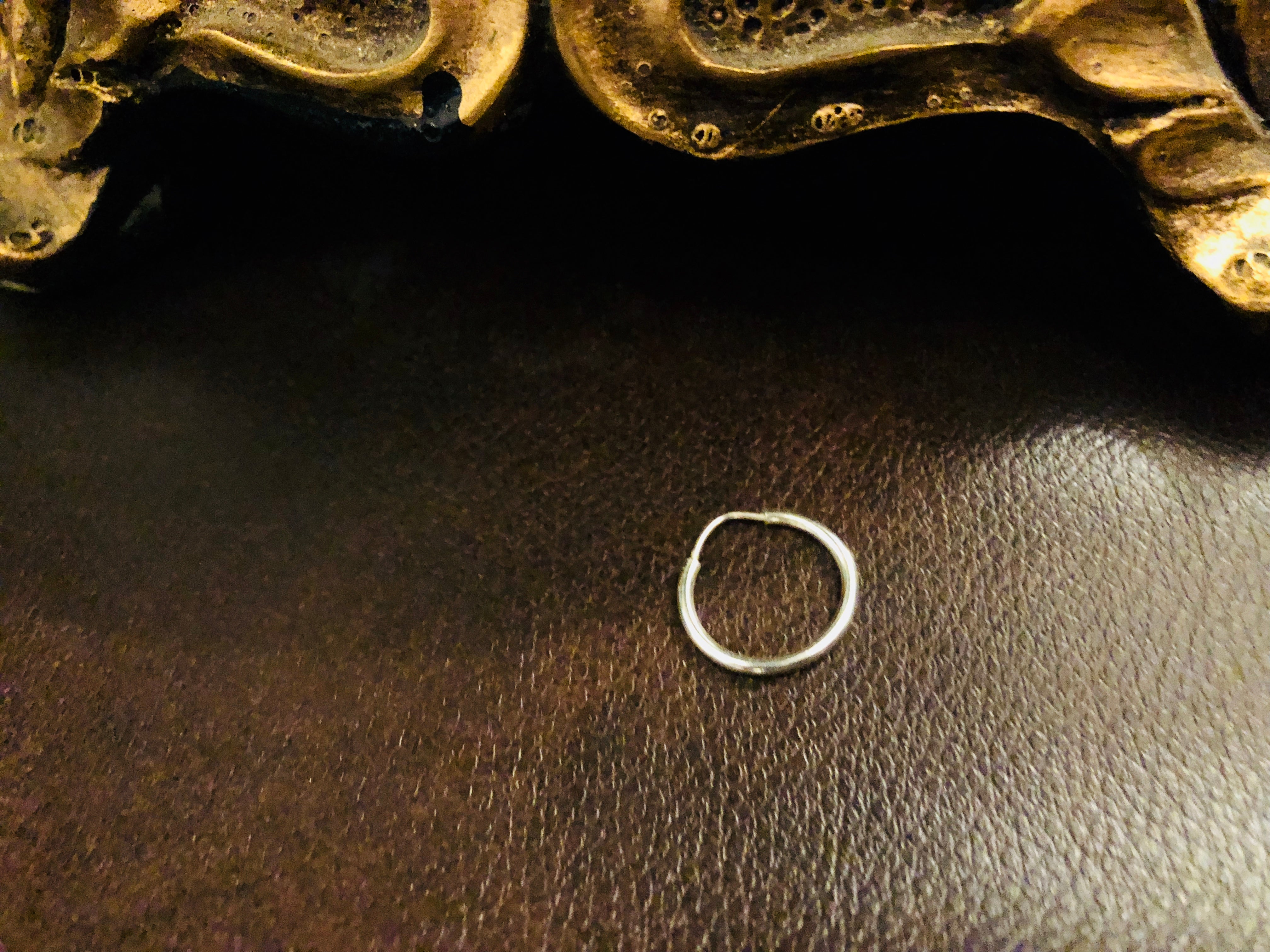 Simple Nose ring