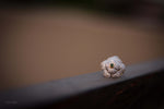 Flower Ring